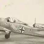 fw190d9jv44cw_22_old