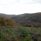 DSCN0618