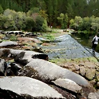 DSCN7347