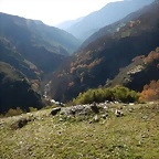 DSCN9066