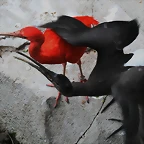 Zoo Lunaret + Sigean 18 i 19-09-10 911