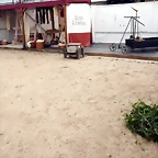 DSCN3634