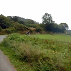DSCN0473