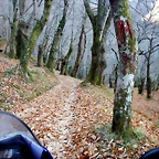 DSCN0134