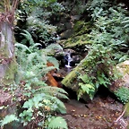 DSCN0929