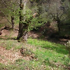 ruta (2)