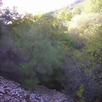 ruta (11)