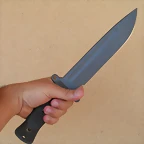 31