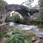 DSCN0823