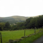 DSCN8378