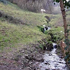 DSCN8172