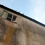 DSCN5365