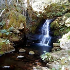 DSCN7863