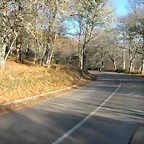 DSCN6747