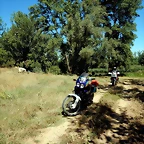 DSCN6242