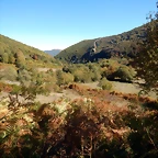 DSCN8014