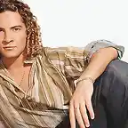 Bisbal posando camisa cafe