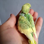 20190711_133823