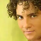 bisbal yellowwall