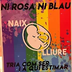 05-Falla-Micer-Rabasa-2022
