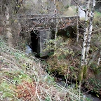 DSCN0628