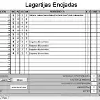 Lagartijas enojadas