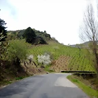 DSCN4100