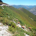 DSCN4641