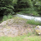 DSCN4159
