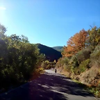 DSCN7687