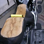 DSCN8228