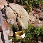 vendimia 070