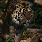 Zoo de Barcelona 04-12-2010 707