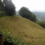 DSCN4805