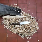 DSCF1324