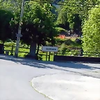 DSCN1409