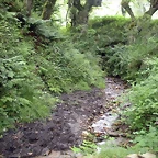 DSCN4248