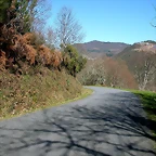 DSCN8011