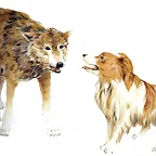 Lobo y perro