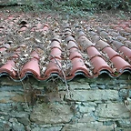 DSCN6684