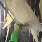 FB_IMG_1493745012920