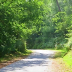 24-IMG_1494