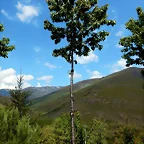 DSCN1102
