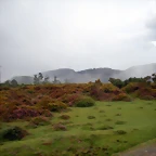 DSCN8461