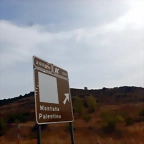 DSCN6746