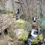 DSCN0121