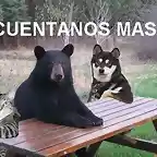 cuentanos_mas_6