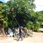 DSCN6649