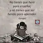 Sin herir aprendemos