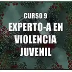 Violencia 6